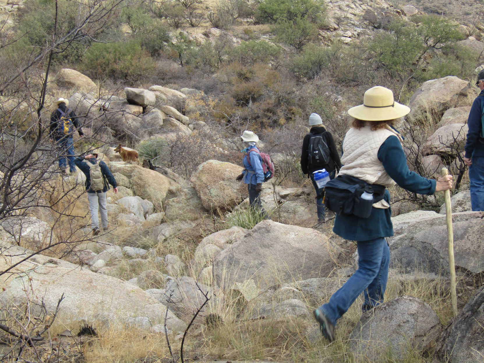 Rincon Spring Trail